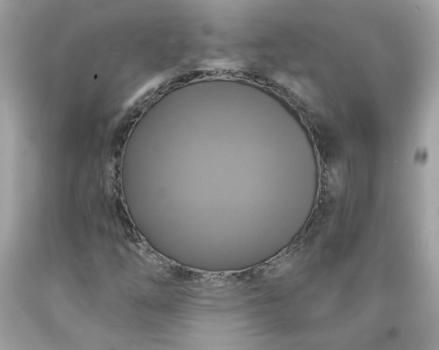 X0000091641254200709060930