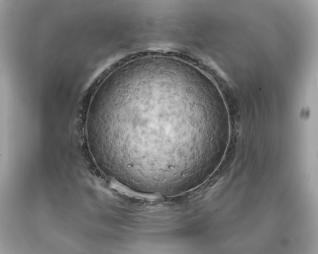 X0000091641256200709060930