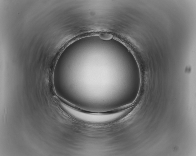 X0000091641257200709060930