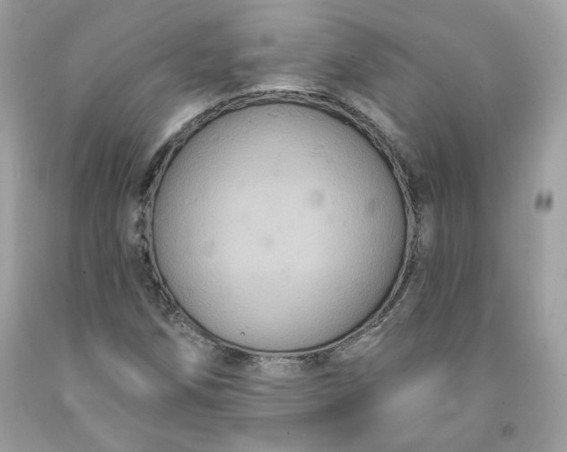 X0000091641258200709060930