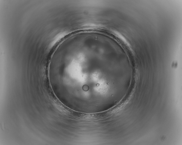 X0000091641259200709060930