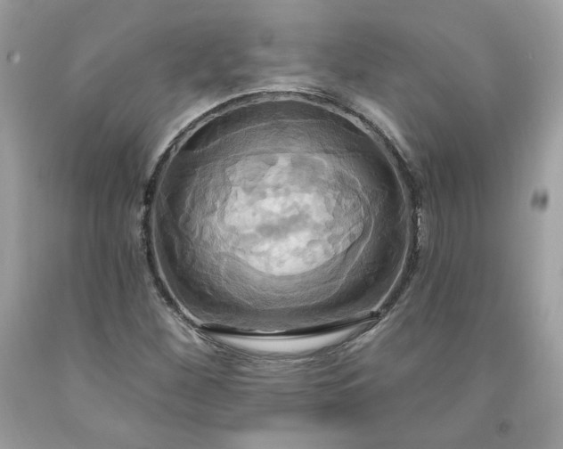 X0000091641260200709060929