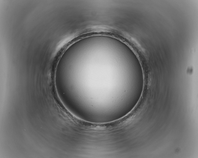 X0000091641261200709060929