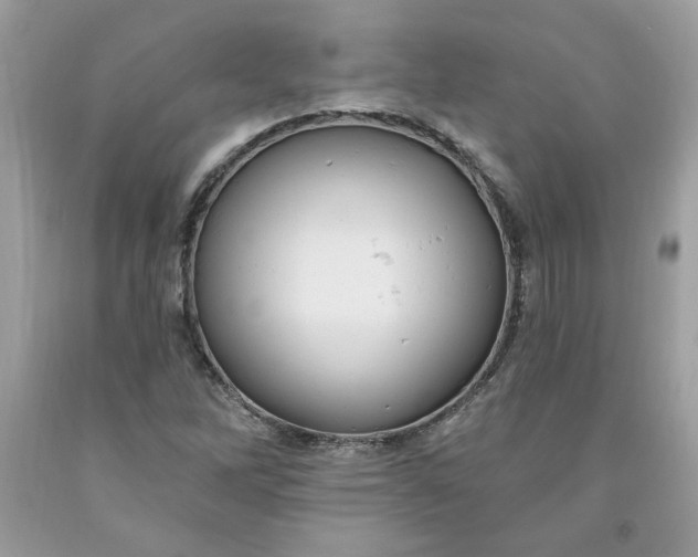X0000091641262200709060929