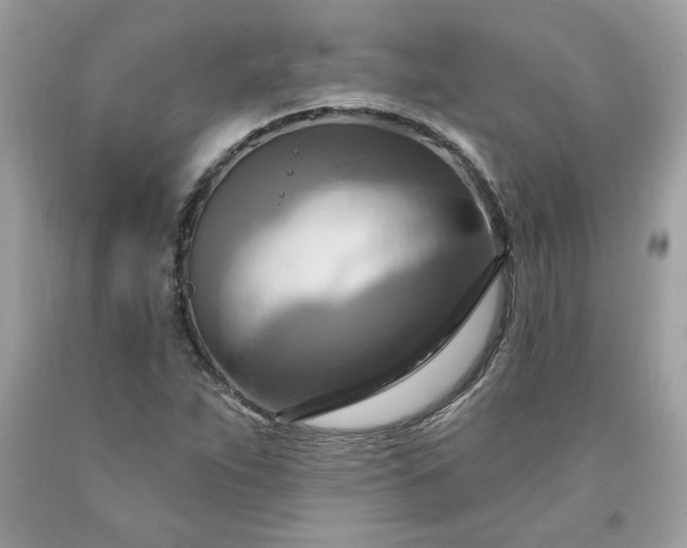 X0000091641263200709060929
