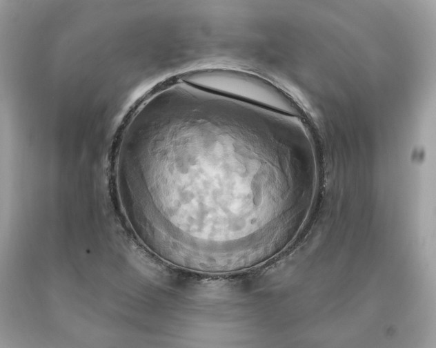 X0000091641264200709060929