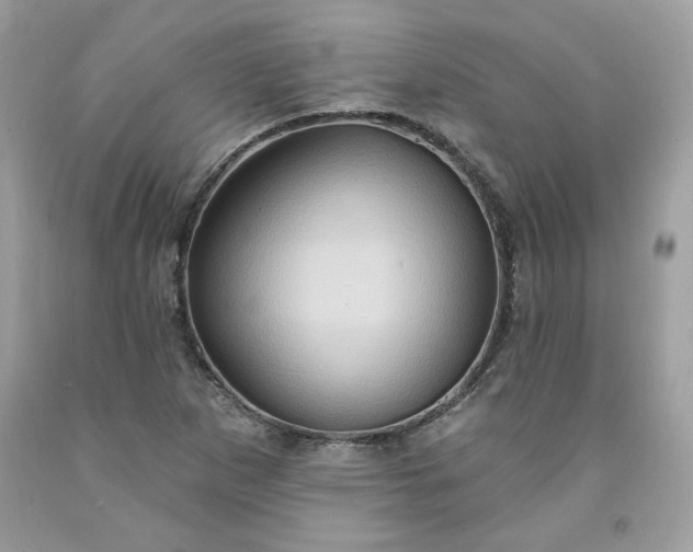 X0000091641265200709060929