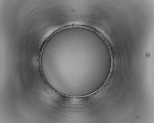 X0000091641266200709060929