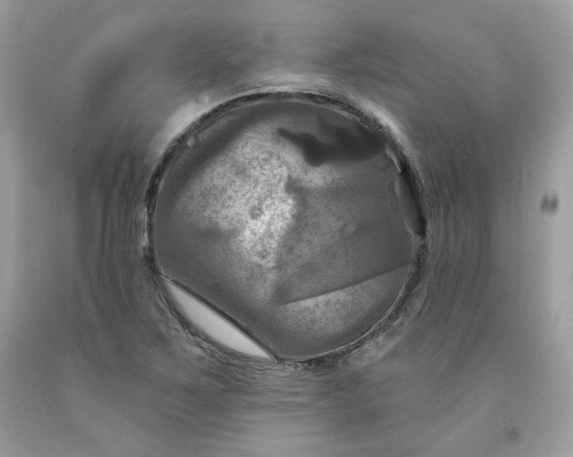 X0000091641267200709060929