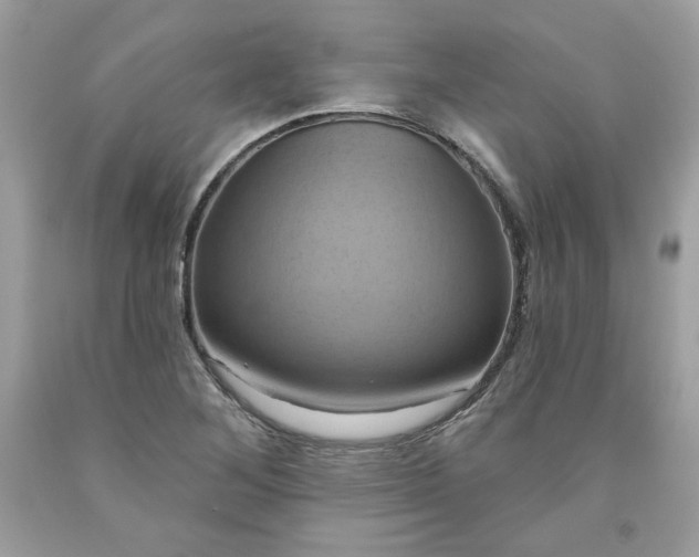 X0000091641268200709060929