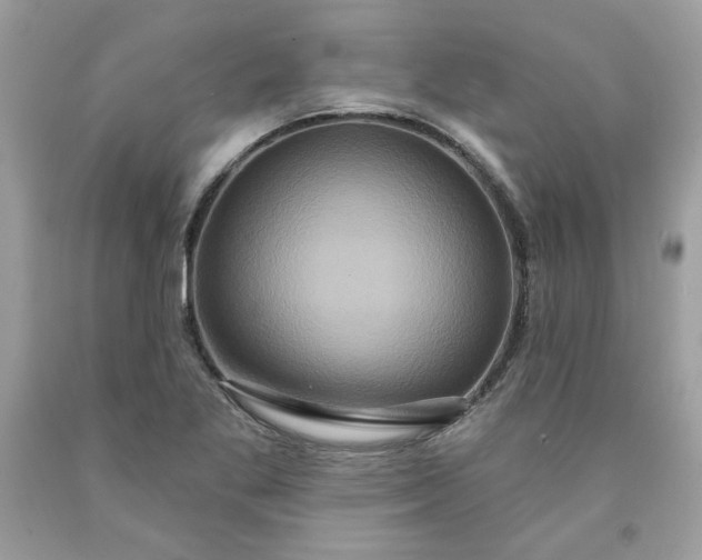 X0000091641269200709060929
