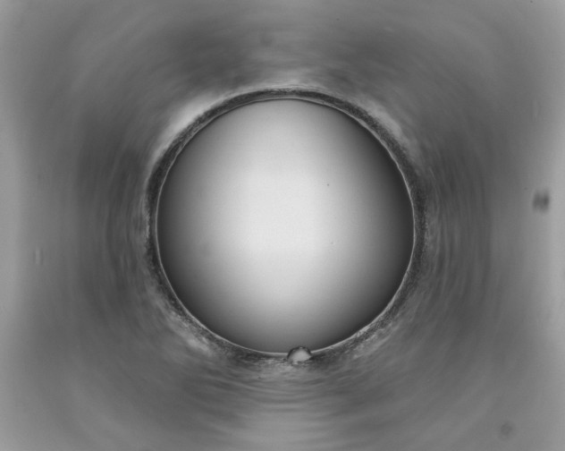 X0000091641270200709060929