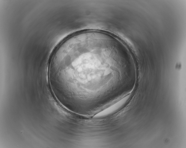 X0000091641272200709060929