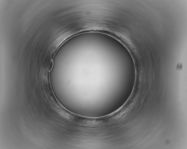 X0000091641273200709060929