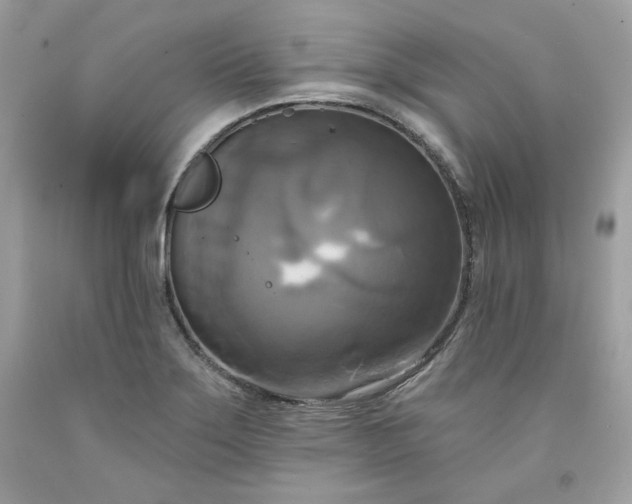 X0000091641275200709060929