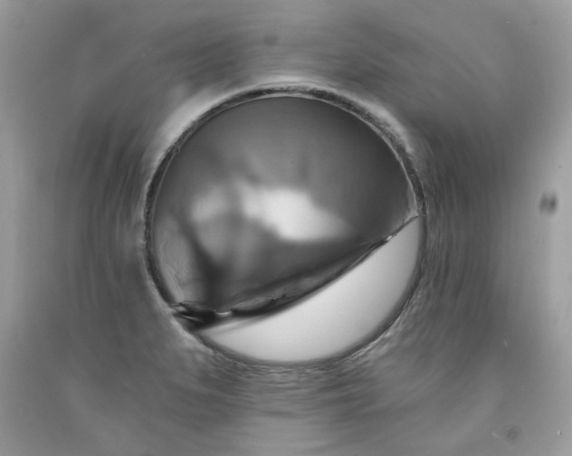 X0000091641279200709060929