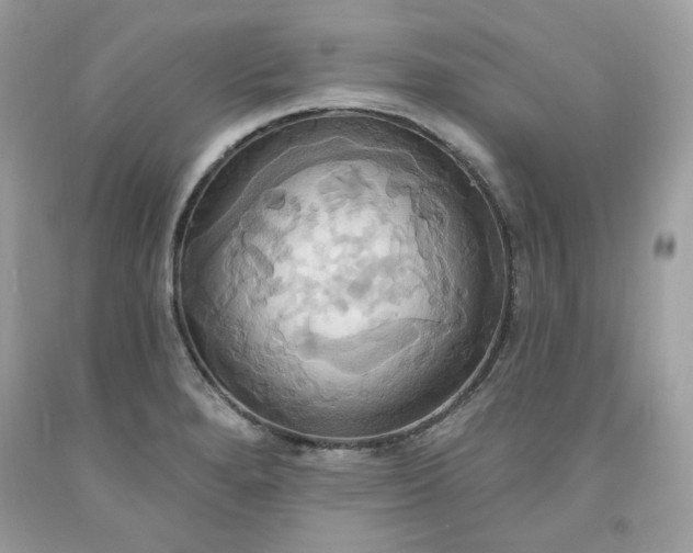 X0000091641280200709060929