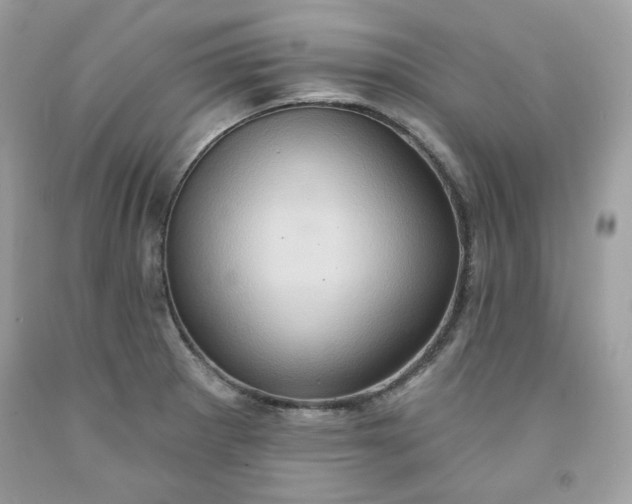X0000091641281200709060929