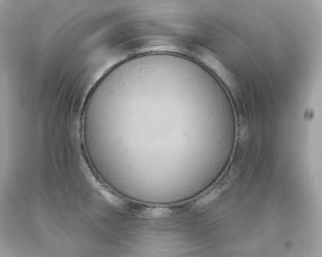 X0000091641282200709060929