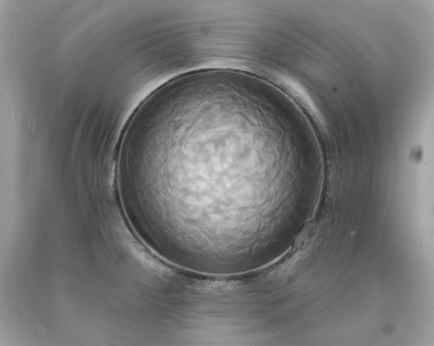 X0000091641284200709060929