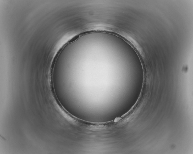 X0000091641285200709060929