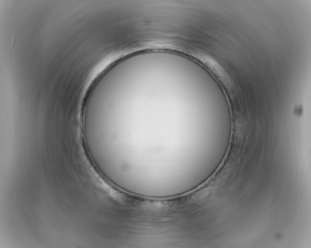X0000091641286200709060929
