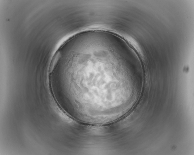 X0000091641288200709060929