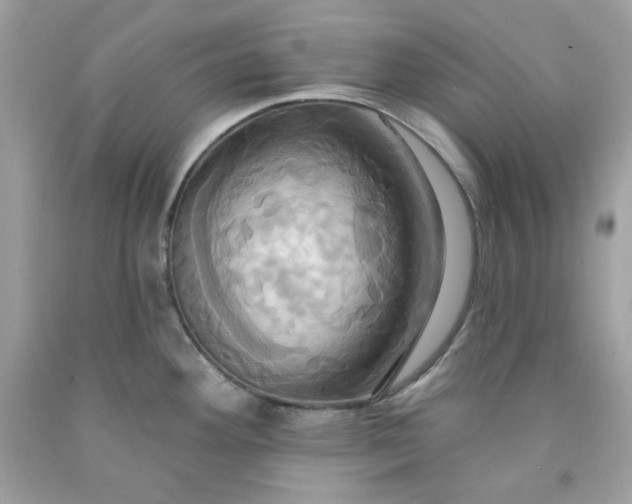 X0000091641292200709060929