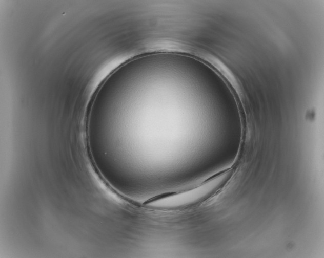 X0000091641293200709060929