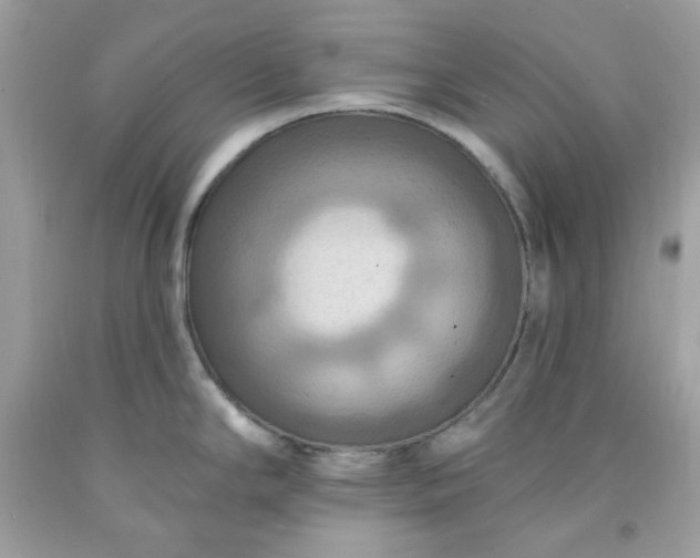 X0000091641294200709060929