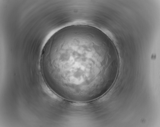 X0000091641296200709060929