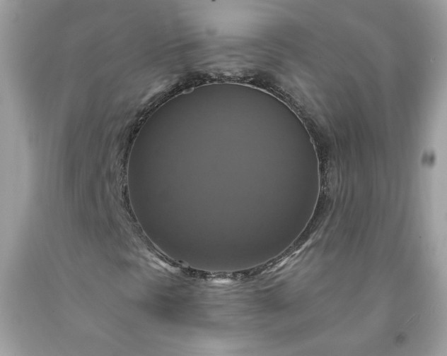 X0000091641297200709060928