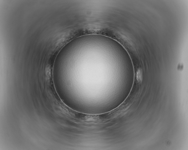 X0000091641299200709060928