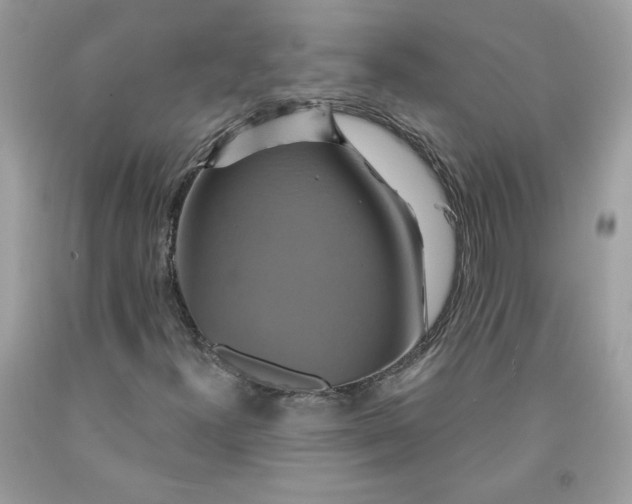 X0000091641300200709060928