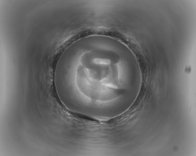 X0000091641301200709060928