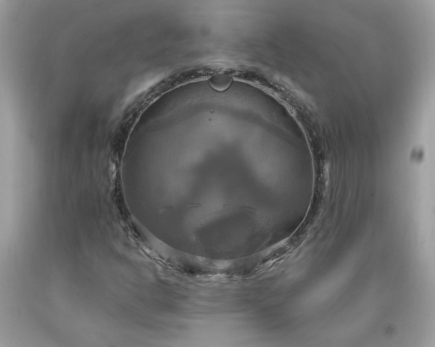 X0000091641302200709060929