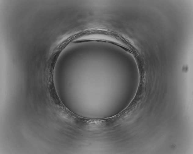 X0000091641303200709060929