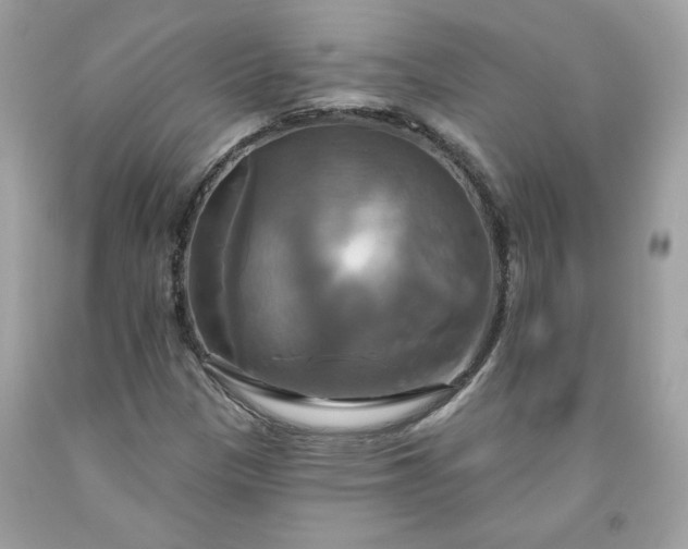 X0000091641305200709060929