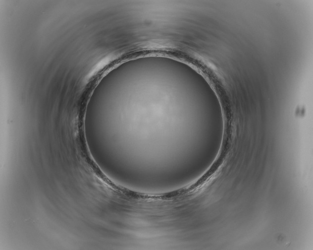 X0000091641306200709060929