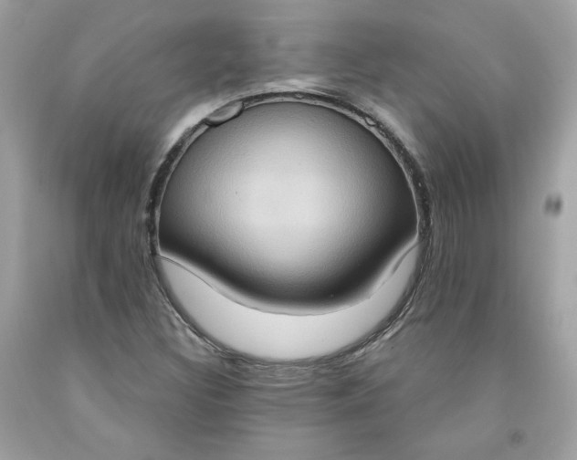 X0000091641308200709060929