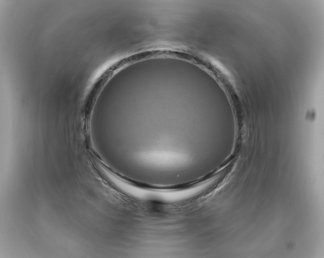 X0000091641310200709060929