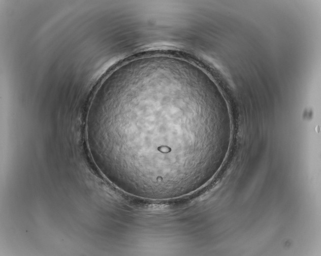 X0000091641313200709060929