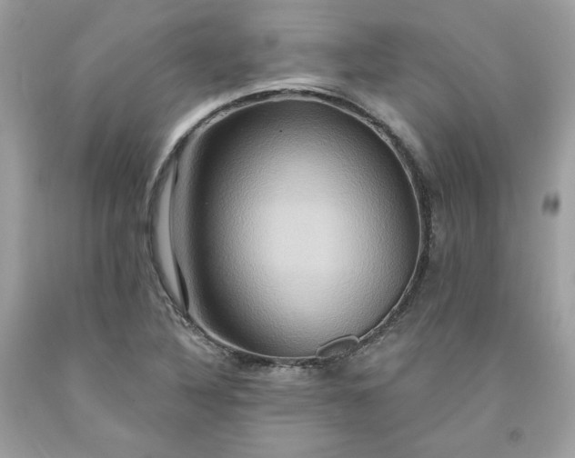 X0000091641316200709060929