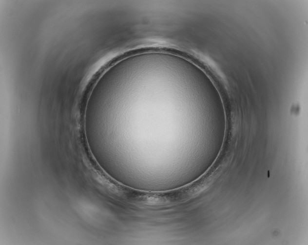 X0000091641318200709060929