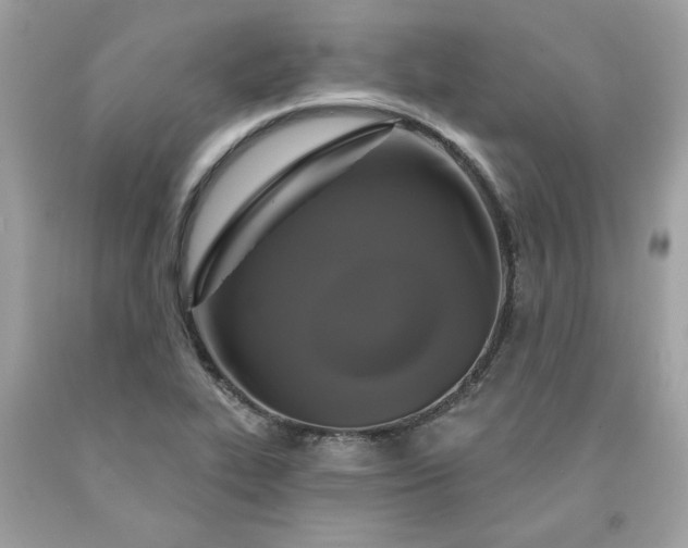 X0000091641319200709060929