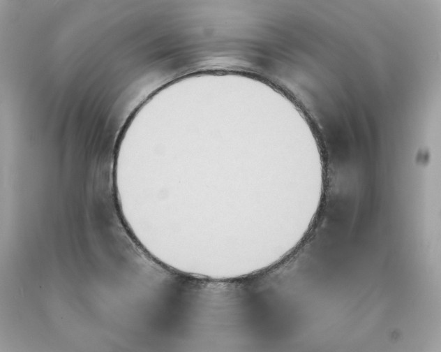 X0000091641322200709060929