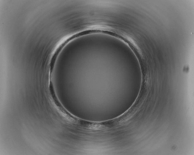X0000091641323200709060929