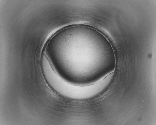 X0000091641324200709060929