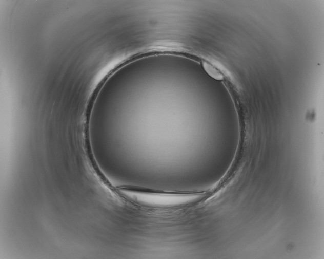 X0000091641325200709060929