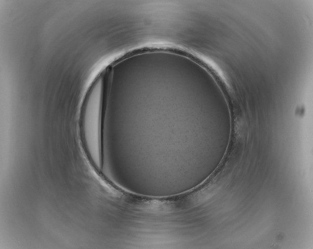 X0000091641327200709060929